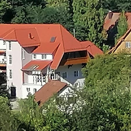 Huberhof Pfaffenbach Villa Gengenbach Bagian luar foto