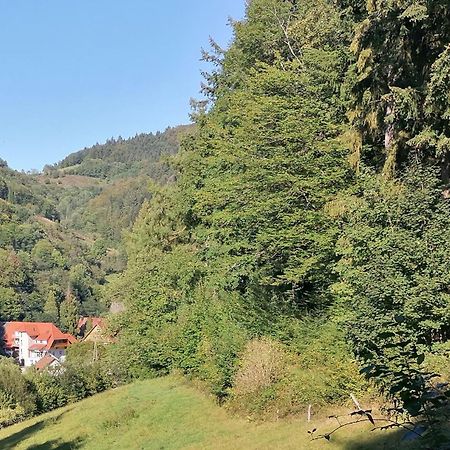 Huberhof Pfaffenbach Villa Gengenbach Bagian luar foto