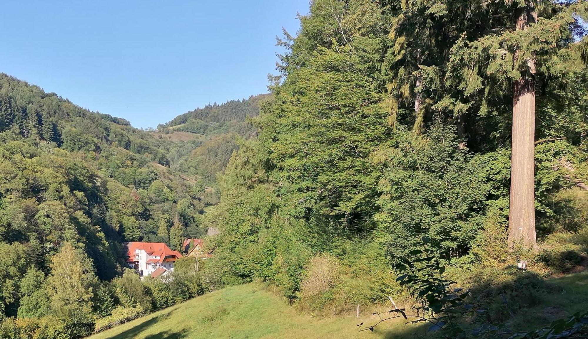 Huberhof Pfaffenbach Villa Gengenbach Bagian luar foto