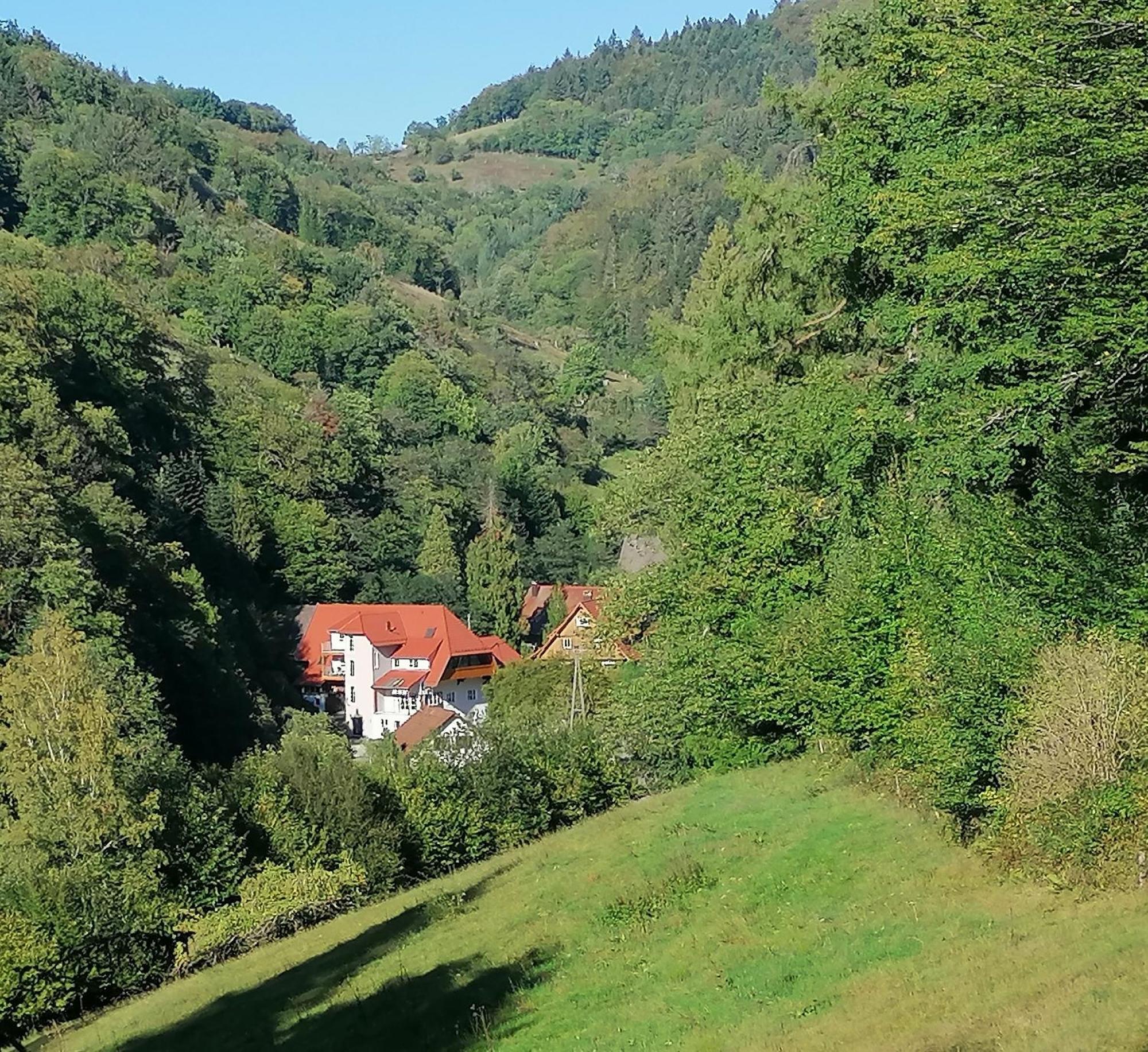 Huberhof Pfaffenbach Villa Gengenbach Bagian luar foto